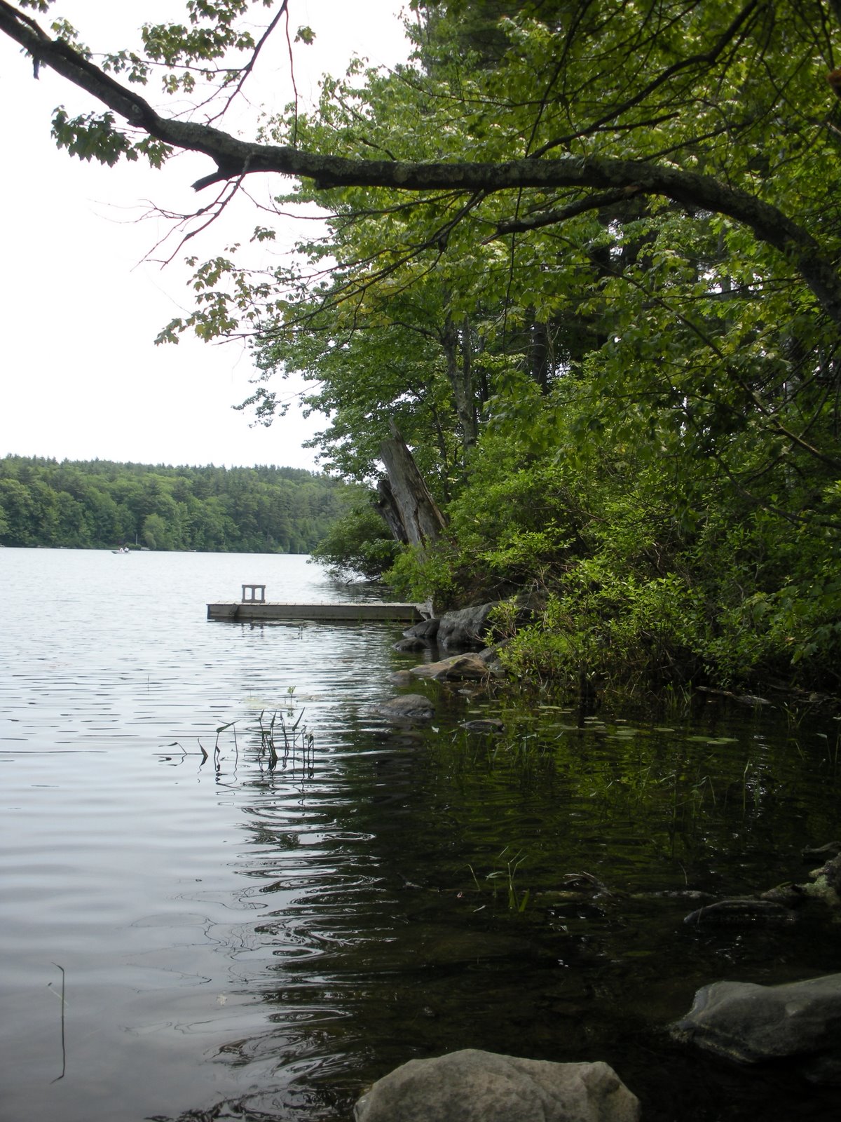 [DSCN0339.JPG]