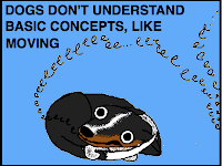 Why Doesnt Dog Food Contain Taurine And L Carnitine Why Doesnt Dog Food Contain Taurine And L Carnitine