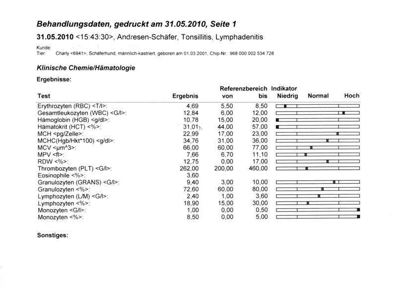 dicke Mandeln und Lymphknoten Hundeklinik