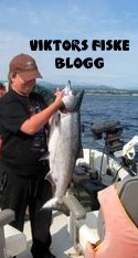 viktors fiske blogg