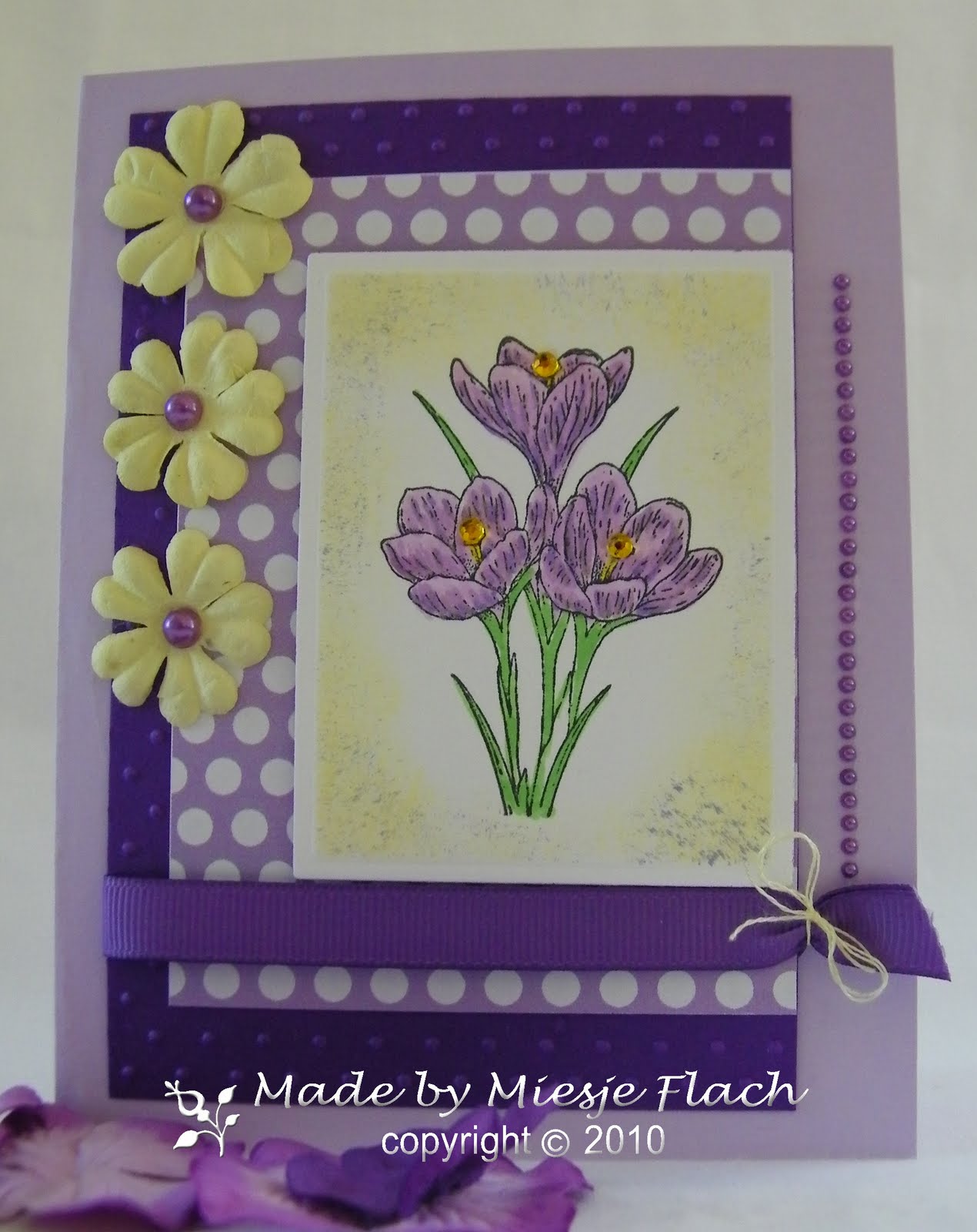 [Spring+Crocus.JPG]