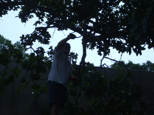 [DSCF5310.JPG]