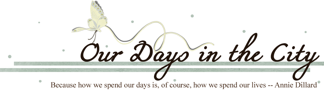 Our Days in the City