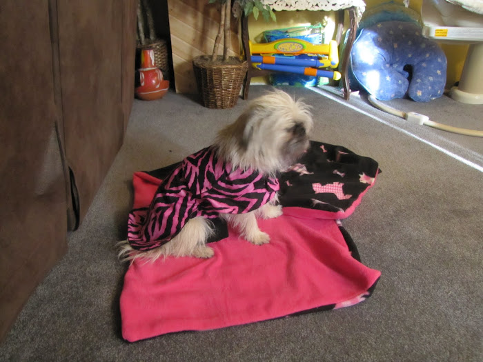 Dog coat and blanket