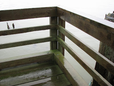 Moss on the deck at 14th Street Riverfront Park, Astoria, Oregon