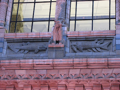 Fish and a Canid type thing on the outside of the Natural History Museum, South Kensington, London