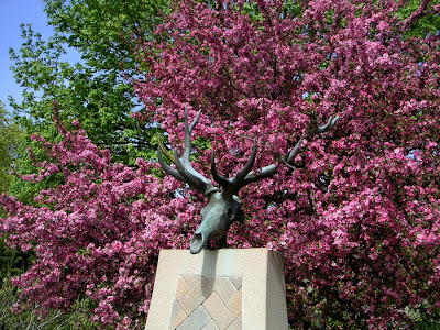 Bronze skull sculpture at Brookfield Zoo