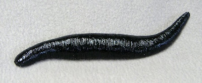 Plastic Leech (Stretches to 36 inches long!)