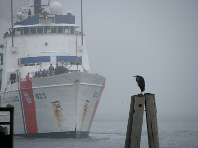 A Heron and the Coast Guard Cutter Steadfast