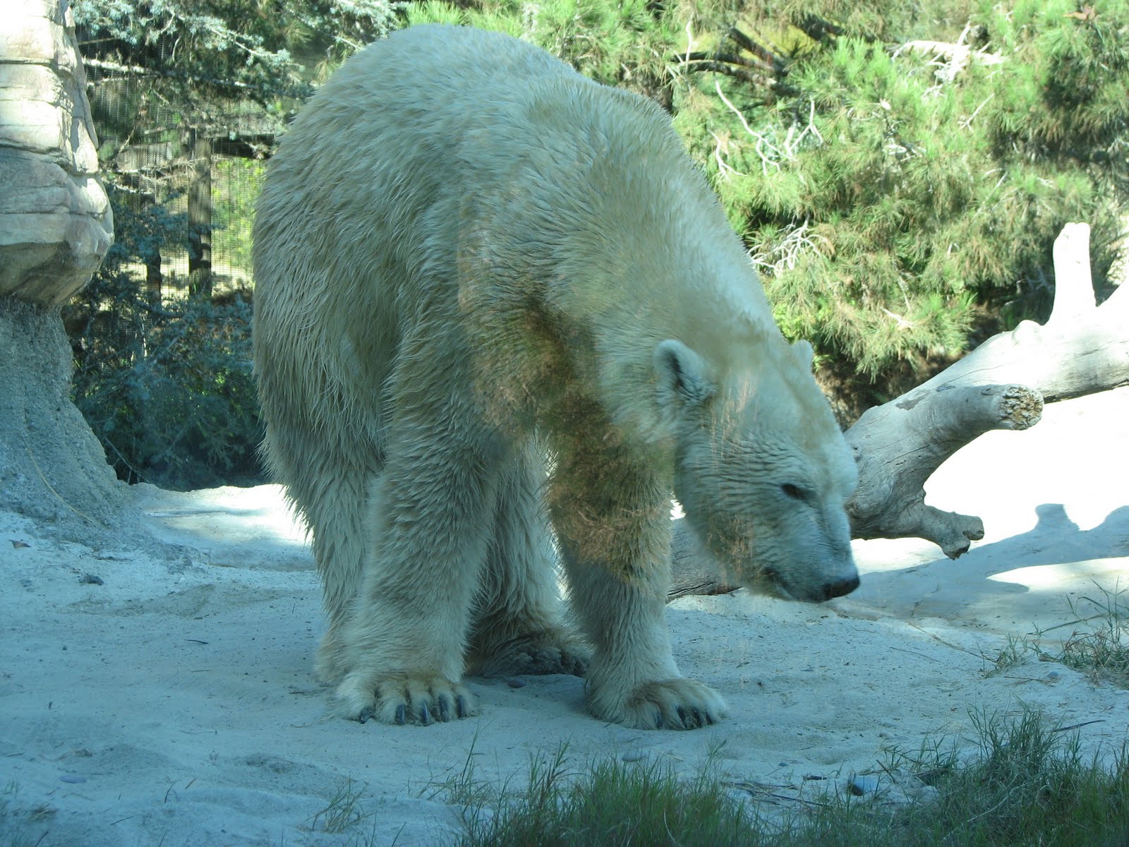 stuffed animals with big feet called