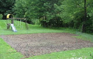 My Vegetable Garden