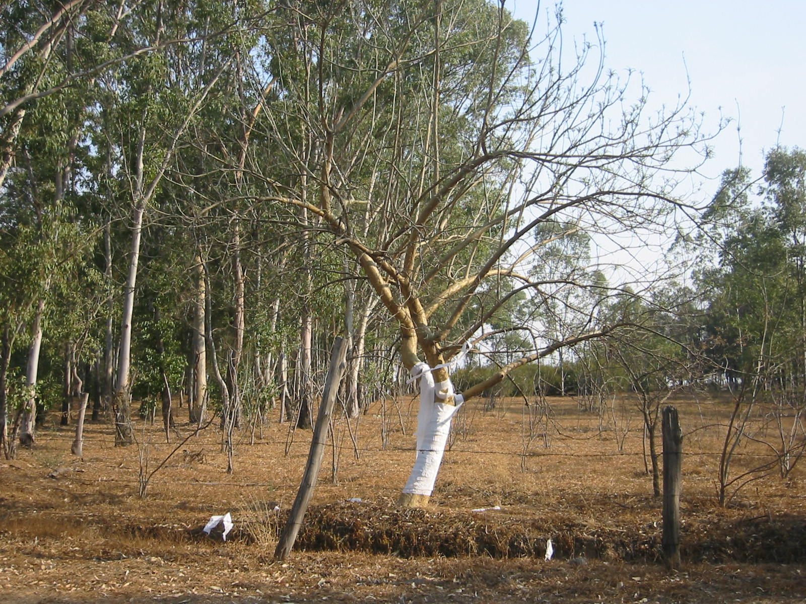[IMG_0943.JPG]