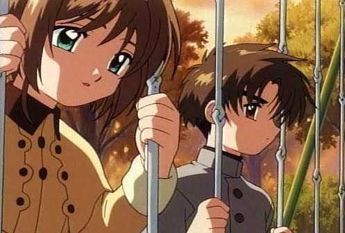 Sakura Y Li