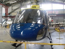 Flight Operation Manager/Pilot