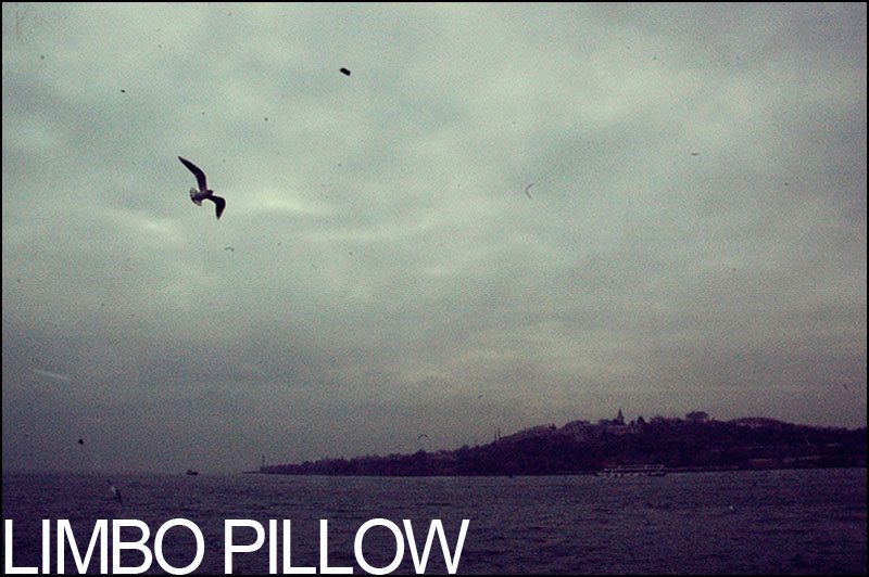 limbo pillow.