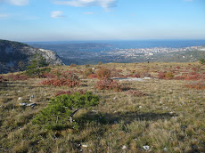 1c - I colori dell'autunno nel Carso di Trieste