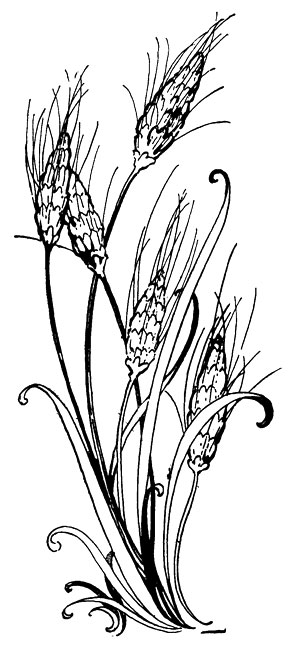 Wheat Art