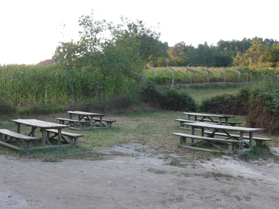 [P1000430i.JPG]