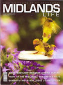 Midlands life Bird cover