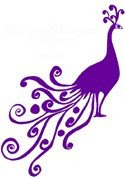 Perky Purple Peacocks