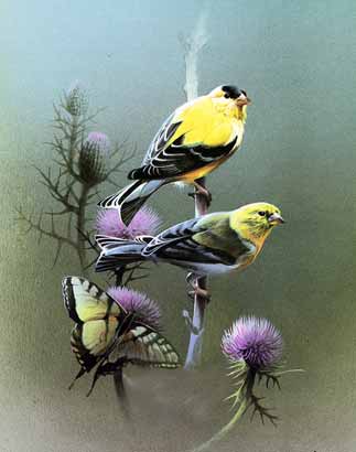 Free High Resolution Pictures: oil paintings birds images, oil