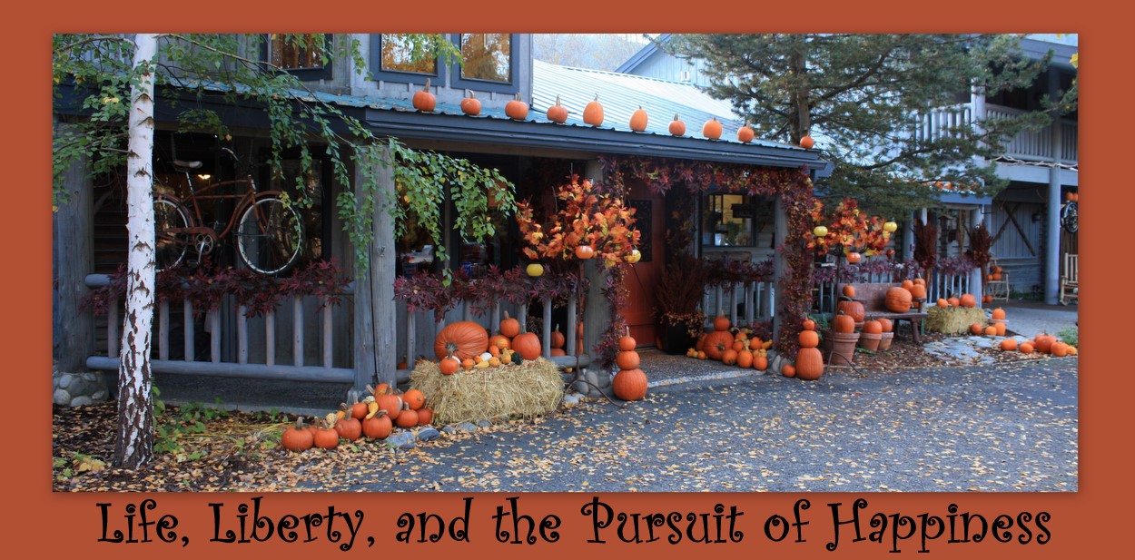 Life, Liberty, & the Pursuit of Happiness