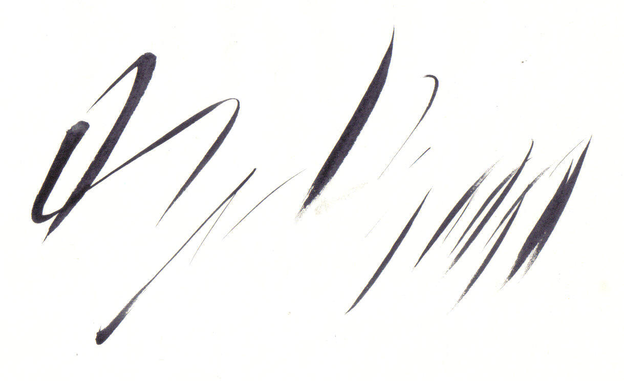 [cf01.jpg]
