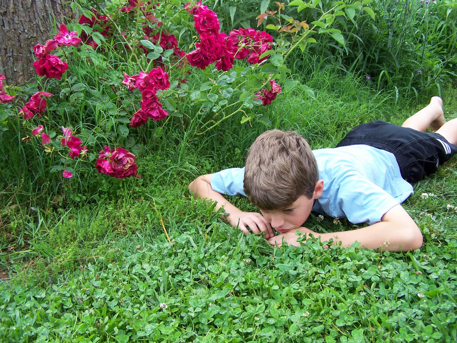 Take a Micro-Hike on Your Belly