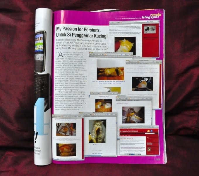 FEATURED IN REMAJA MAGAZINE : 1ST MAY 2010 ISSUE