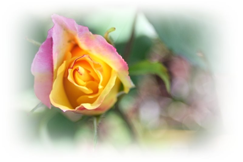 [IMG_0786+blogg+2.JPG]