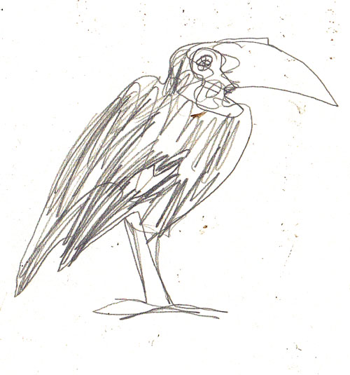 Muieblackcat+scanner