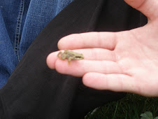 MARTIN'S HAND & A FROG