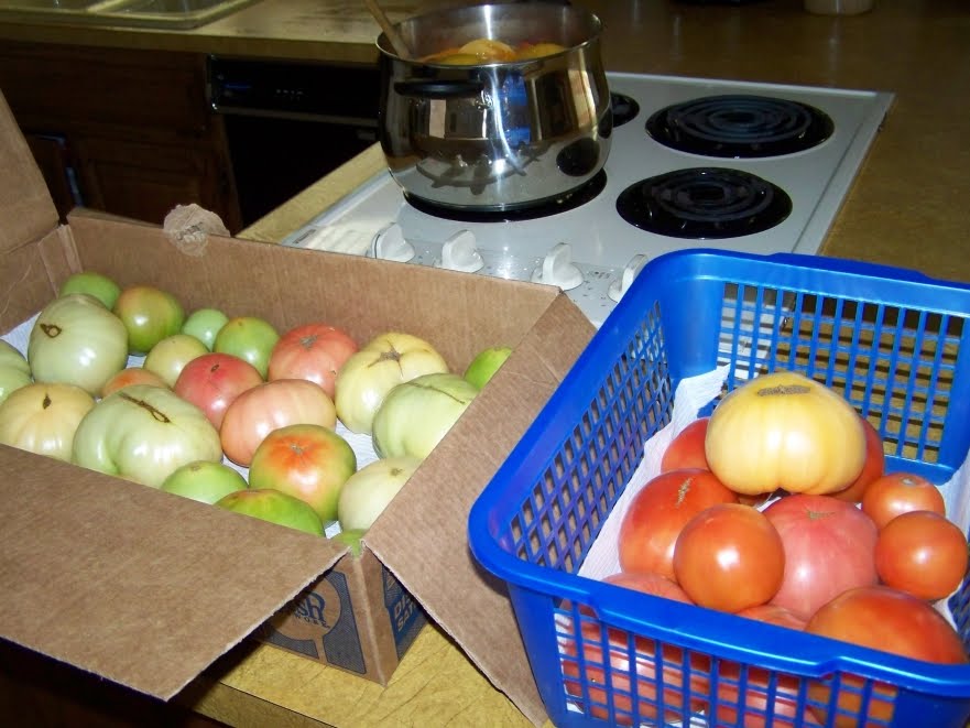 [2009-10-12+Tomatoes+(03).jpg]