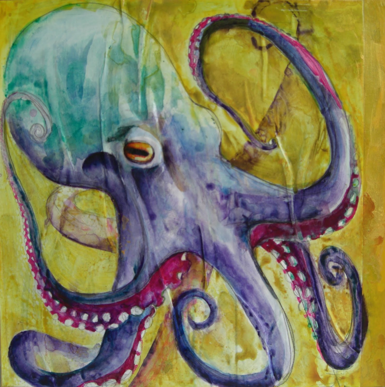 Octopus Injuries
