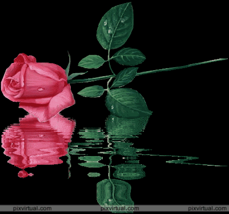 [im_137_imagenes_de_flores_pZ30l.gif]