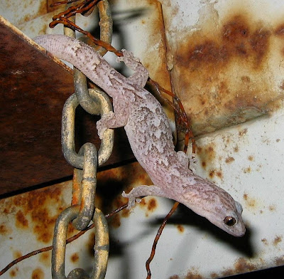 Esperance Blog 01 01 2007 02 01 2007