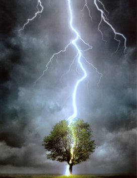 [nature7Lightning-Striking-Tree-Posters.jpg]