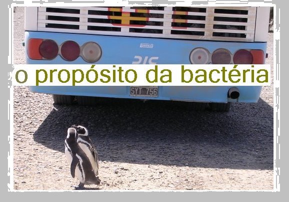 O PROPÓSITO DA BACTÉRIA