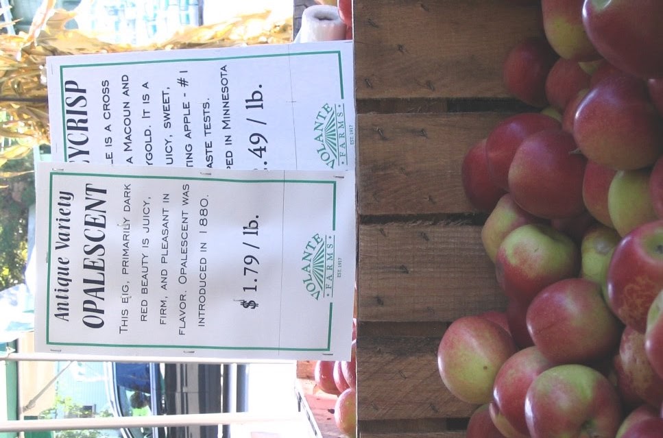 [Sign+at+Volente.jpg]