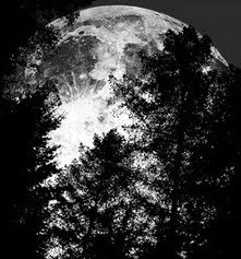 [Full_Moon____by_MichiLauke.jpg]