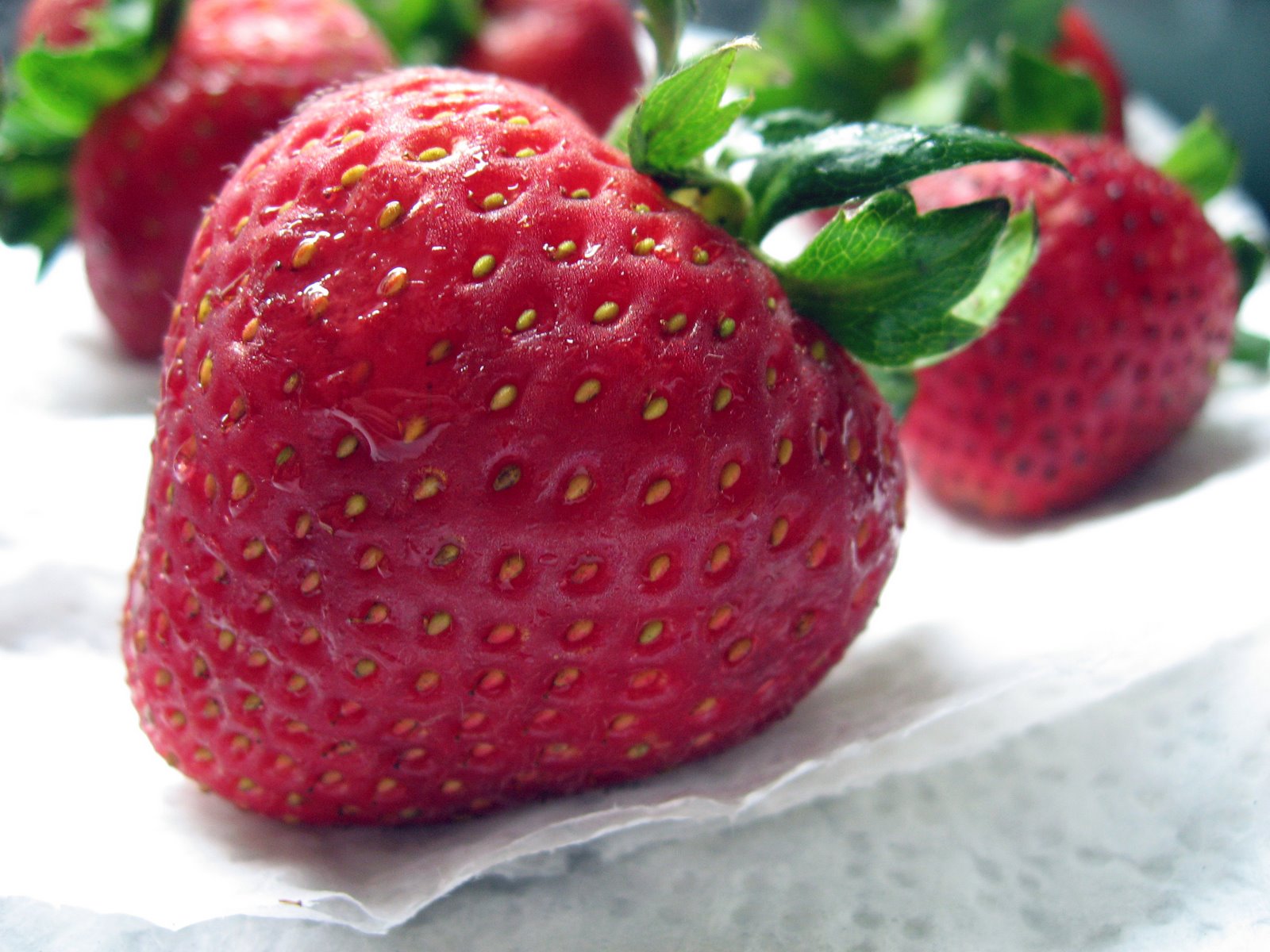[Strawberry2.jpg]