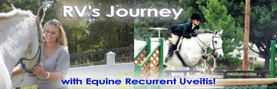 RV's Journey with Equine Recurrent Uveitis!