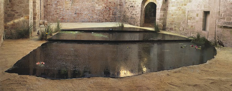 MARE, CELLE DU CHAMP AU LION