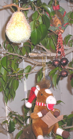 [2xmas07.JPG]