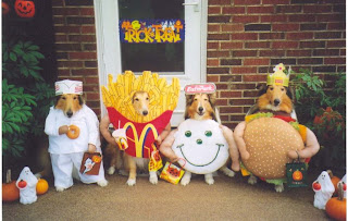 dog halloween