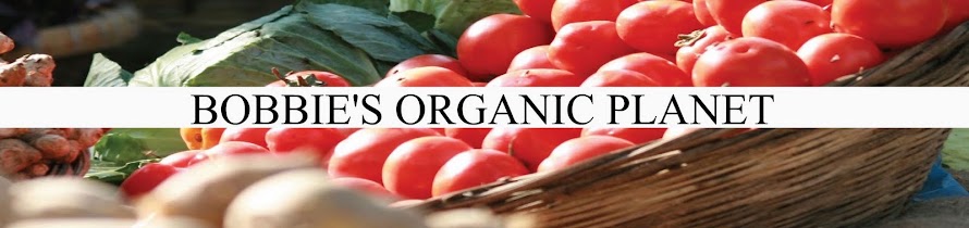Bobbie's Organic Planet