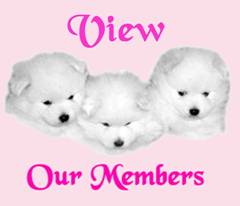 Our Members