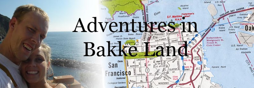 Adventures In Bakke Land