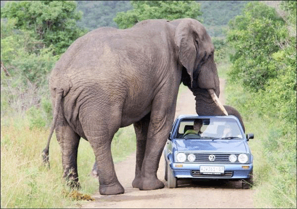 Photo Feature : You will now think twice before buying a Nano car