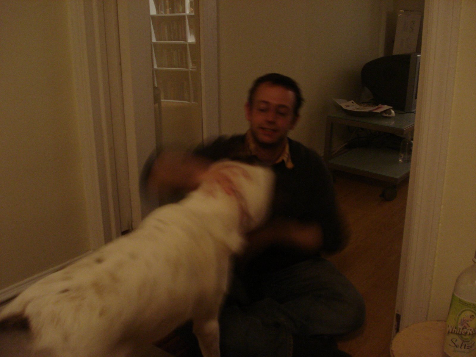 [dog+1.JPG]